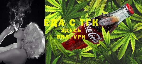 стаф Балахна