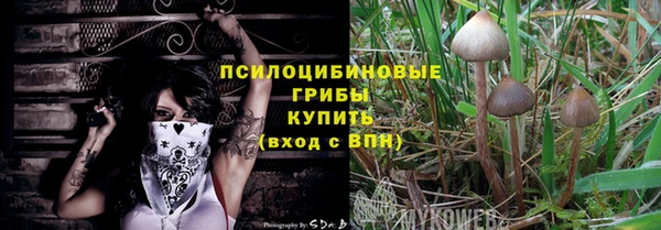 стаф Балахна