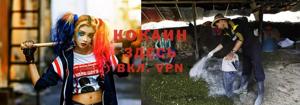 стафф Рославль